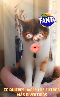 Fanta lanza en snapchat el primer lente para gatos